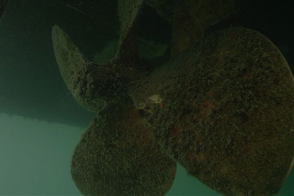 Four bladed prop with marine growth sitting in the water