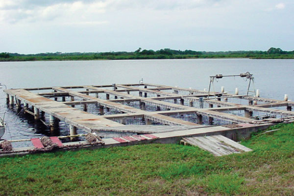 Antifouling Marine Immersion Dock