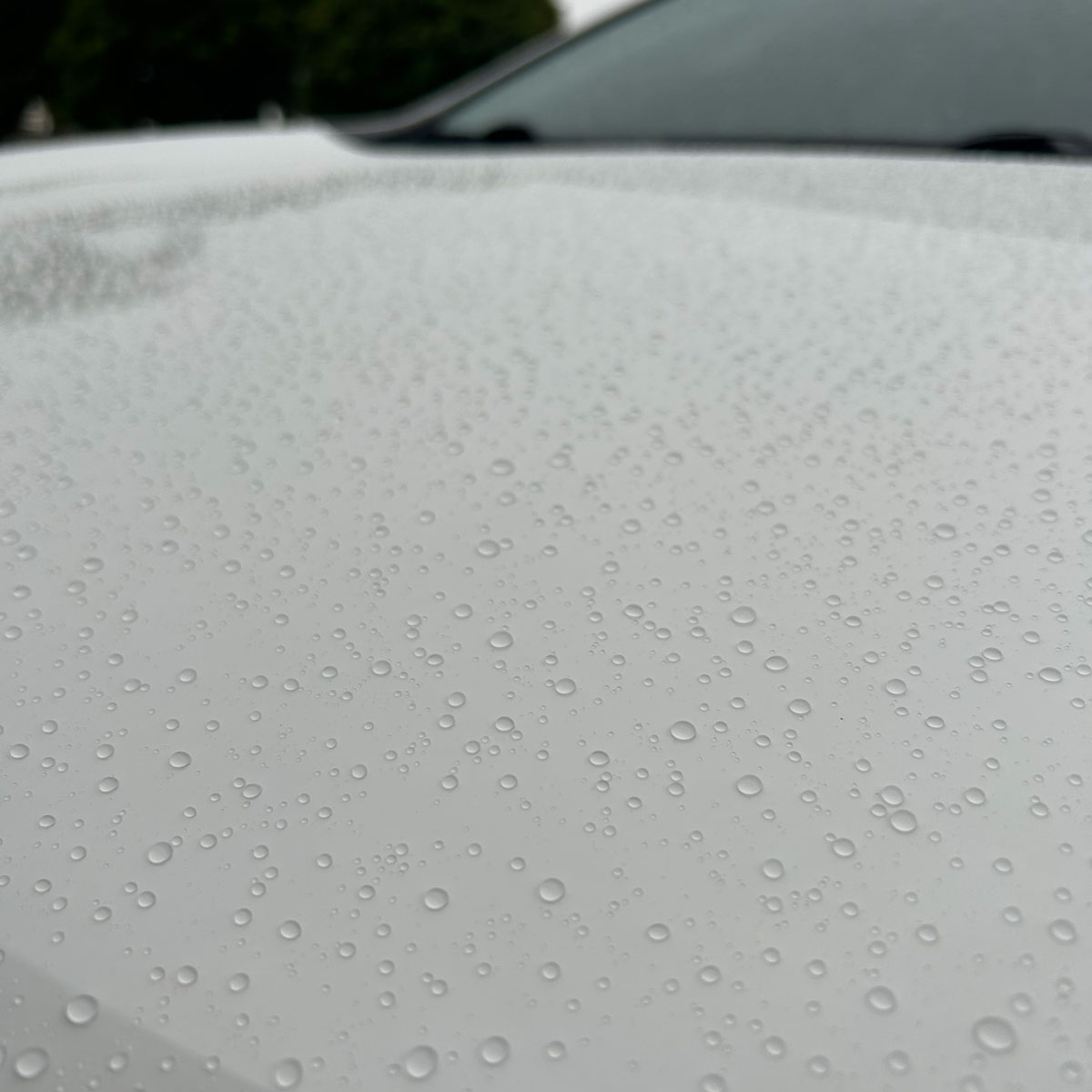 New Graphene Ceramic Coating for Cars 10h (7+ Years Protection Apply After  Wash)